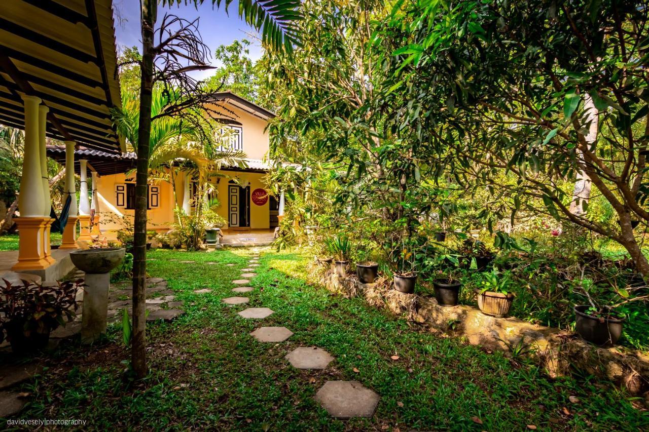 Coconut Villa Midigama East Exterior foto